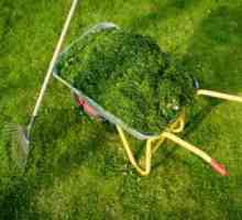 Usitnjavanje pokošene trave - pomoći sebi i vrt kreveta
