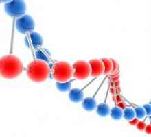 Multifaktorijalno bolest, genetika i njihove prevalencije
