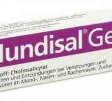 "Mundizal gel": instrukcija i povratne informacije. analoga droga