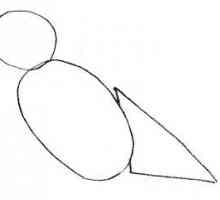 U Primeru naučiti kako nacrtati vrabac olovka faze