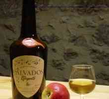 Pića Francuska: kako se pije Calvados zar ne?