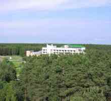 "Naroch" Turistički kompleks (Belorusija, Minsk regija): recenzije turista