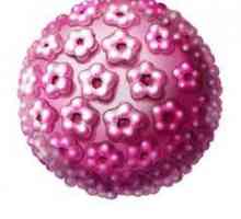 Koliko je opasan HPV 16