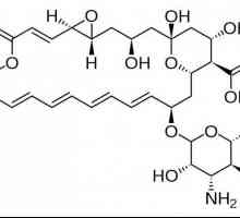 "Natamicin": uputstva za upotrebu. Mast, supozitorija i tableta "Natamicin"