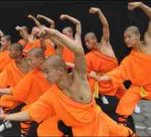 Neobična i nepredvidive kinospektakl "Shaolin Monks"