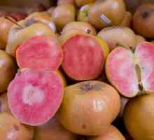 Neobična sorti jabuka pink bisera