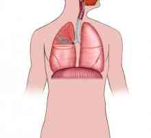 Hitno zbrinjavanje u plućna krvarenja: specifičnosti tretmana