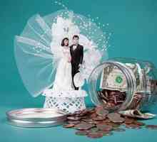Nekoliko ideja o tome kako da doniraju novac za neobično vjenčanje