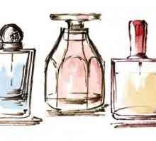 Niche parfema - a ... niche parfimerija: mišljenja, cijene, fotografije