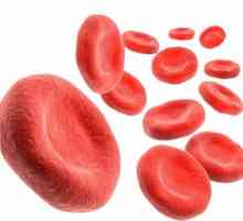 Norma hemoglobina u krvi u djece i odraslih