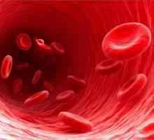 Ukupna stopa proteina u krvi žena. Razlozi za odstupanje od norme