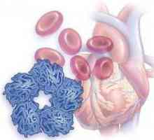 Norma CRP u hemije krvi