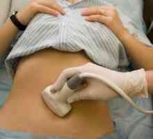 Norme veličine maternice ultrazvukom tijekom trudnoće i nakon porođaja. Normalne veličine maternice…