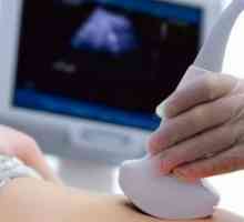 Potrebno je trening? ultrazvuk abdomena