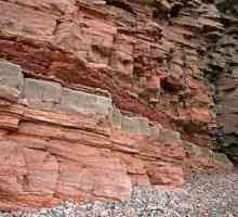 Detrital klastične stijene: opis, vrstama i klasifikaciji