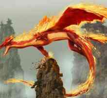 Fire Dragon - karakterističan znak
