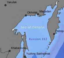 Moru Okhotsk: ekološke probleme i njihova rješenja