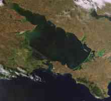Opis Azovskog mora: područje, dubina i faune