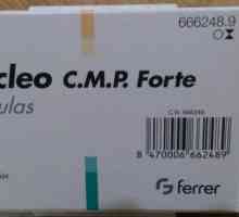Opis proizvoda "Nucleo CMF Forte". Indikacije za upotrebu i povratne informacije