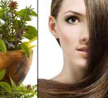 Ispiranje kose sa začinskim biljem: tajne lijepe frizure