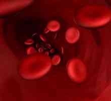 Određivanje krvne grupe roditelja krvi djeteta - zašto je to potrebno?