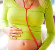 Određivanje pol bebu na rad srca i urina