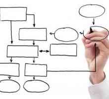 Organizacione strukture preduzeća - primjer. Karakteristike organizacijske strukture