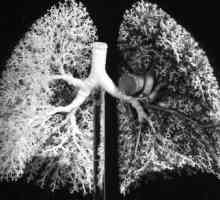 Ljudskih organa za disanje. Struktura i funkcija respiratornog sistema