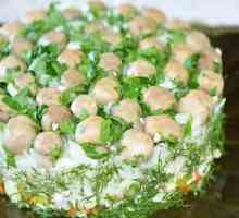 Original domaća kuhinja: "proplanak Mushroom" salata recept