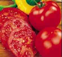 Originalni recept: paradajz u želatinu
