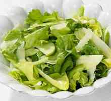 Originalni salata od koprive