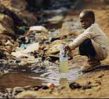 Glavni ekološki problemi Afrike