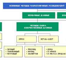 Glavne metode prikupljanja informacija marketinga u istraživanju tržišta