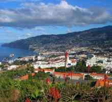 Otok Madeira. Atrakcija, koje su se divili svi turisti
