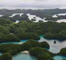 Palau otoci u Tihom oceanu
