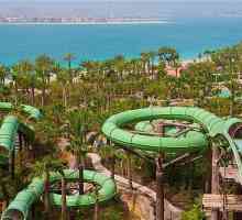 UAE Hoteli za obitelji s djecom: Savjeti za putovanje