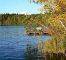 Lake regije Nižnji Novgorod. Kratak opis od najboljih voda za ribolov i rekreaciju