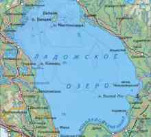 Lake Ladoga: opis, dubina, topografija, riba