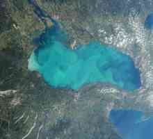 Jezera Ontario i njen ekosistem