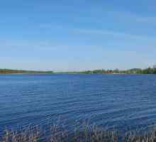 Lake Orlinskoye: rezervoar opis. Život-davanja i fauna jezera Orliński