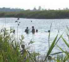 Lake Pelenkino, blato tretman: rezultat recenzije
