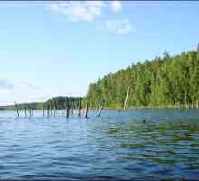 Lake Pskov: slike, rekreaciju i ribolov. Komentari na odmoru u jezeru Pskov