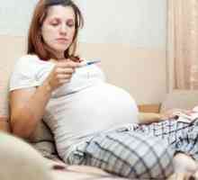 Jeza sa ranoj trudnoći. Koji lijekovi mogu biti trudna?