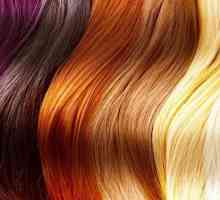 Paleta boja od boje za kosu: ima izbor ton