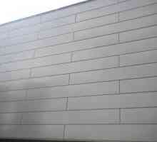 Zidni paneli za kuću - jednostavan, lijep i ekonomično!