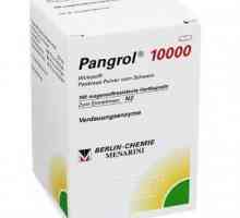 "Pangrol 10000": uputstvo za djecu, pravi kolege