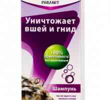 "Paranit" (šampon) - preporuke. lice šampon