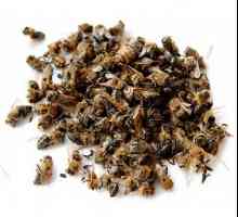 Bee Pomorie - panaceja za sve bolesti