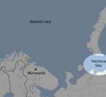 Pečorskom moru: opći opis i lokacija