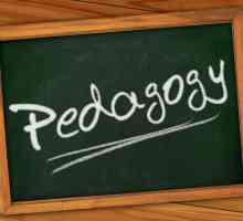 Pedagogija - što je to? Koncept "pedagogije". Professional Pedagogija